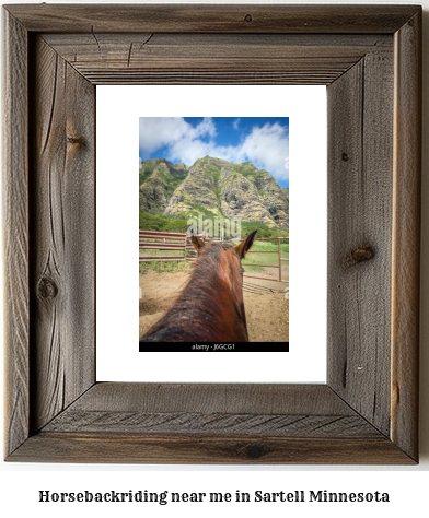 horseback riding near me in Sartell, Minnesota